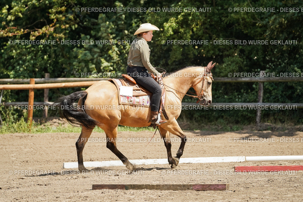 DSC06660 | Pferdegrafie