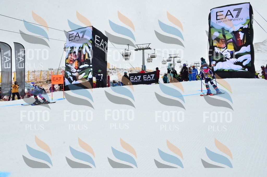 _ELE3156 | holidayphoto