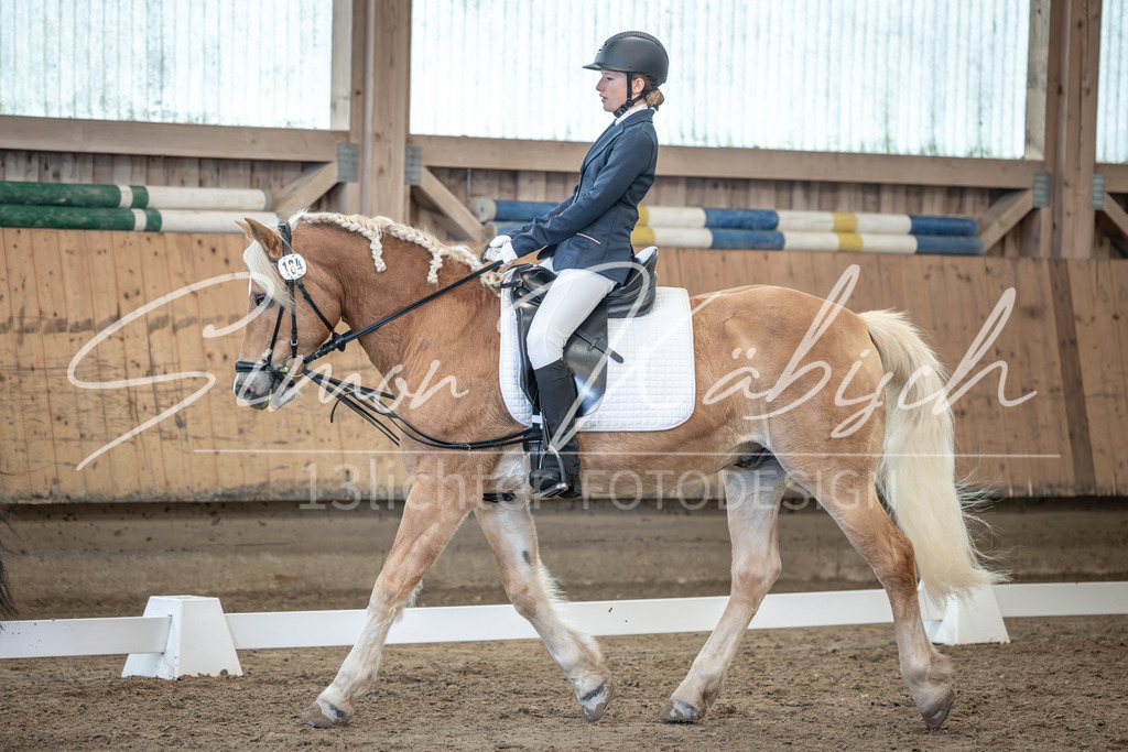 20251011-_3LI8438 | Tierfotografie Pferde, Hunde, Katzen, Haustiere.
Turnierfotografie Reitturniere, Reiten, Springreiten, Dressur in Hanau, dem Main-Kinzig-Kreis und dem Rhein-Main- Gebiet um Frankfurt