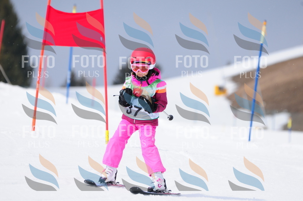 A3514 | holidayphoto