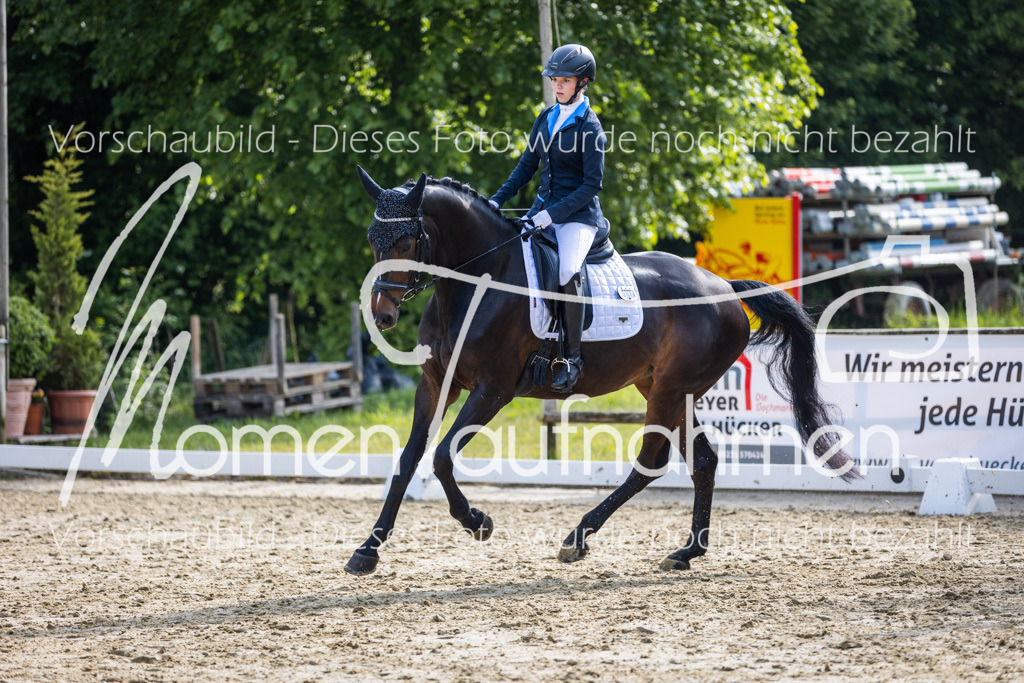 Donop24-A2-Dre-003 | MomenTaufnahmen Pferdesportfotos