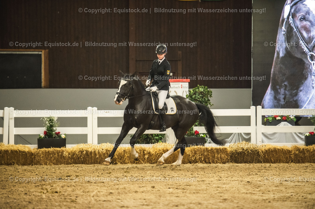 20240302_Hengstvorstellung_Marbach_TOMsPiC_0699-2 | equistock