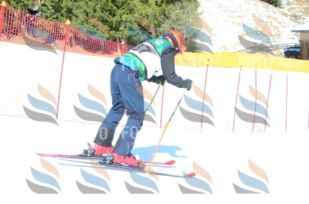 C6013 | holidayphoto