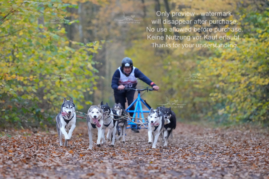 Rigs4bis8So-119 | stephaniefillaphotographie - Realisiert mit Pictrs.com