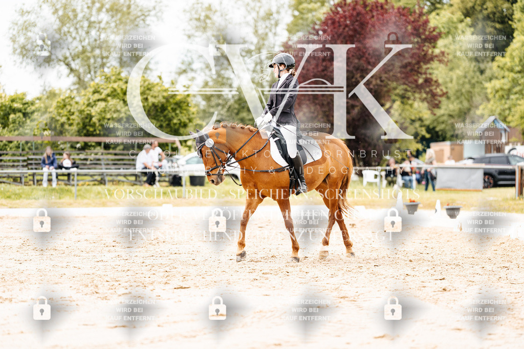 CK903022 | Turnierfotografie Pferdefotografie Trier Rheinland-Pfalz Pferdesport Reitsport Tierfotografie Sportfotografie Pferdevideo Pferdevideografie Equestrianvideography equestrianphotography  - Realisiert mit Pictrs.com