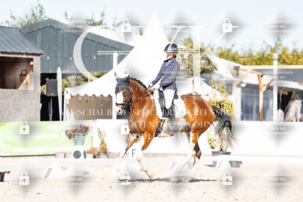 CK908121 | Turnierfotografie Pferdefotografie Trier Rheinland-Pfalz Pferdesport Reitsport Tierfotografie Sportfotografie Pferdevideo Pferdevideografie Equestrianvideography equestrianphotography  - Realisiert mit Pictrs.com