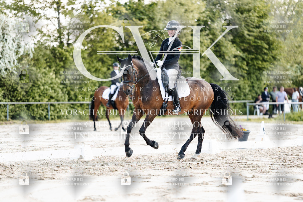 CK909556 | Turnierfotografie Pferdefotografie Trier Rheinland-Pfalz Pferdesport Reitsport Tierfotografie Sportfotografie Pferdevideo Pferdevideografie Equestrianvideography equestrianphotography  - Realisiert mit Pictrs.com