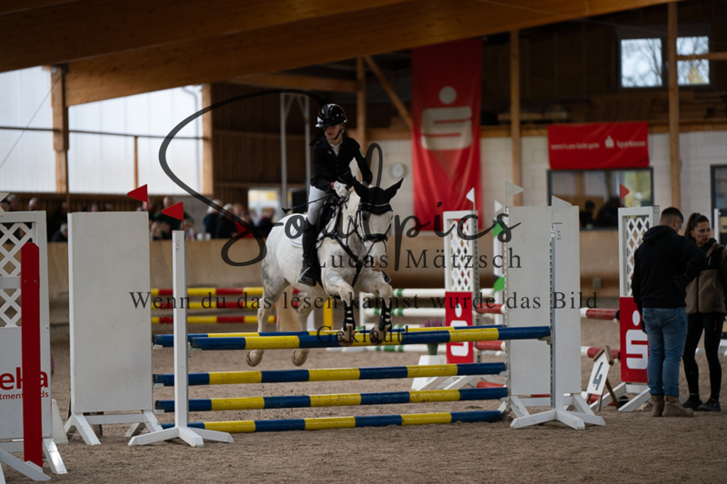 A7V02997 | Pferdefotograf