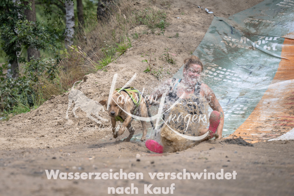 1246_ZZ93905 | kk-dogfotos
