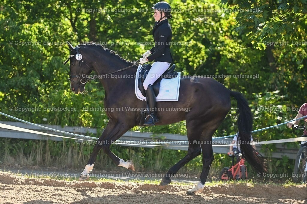 20230715_06_Dressurpferdeprfg. Kl.A_0381 | equistock