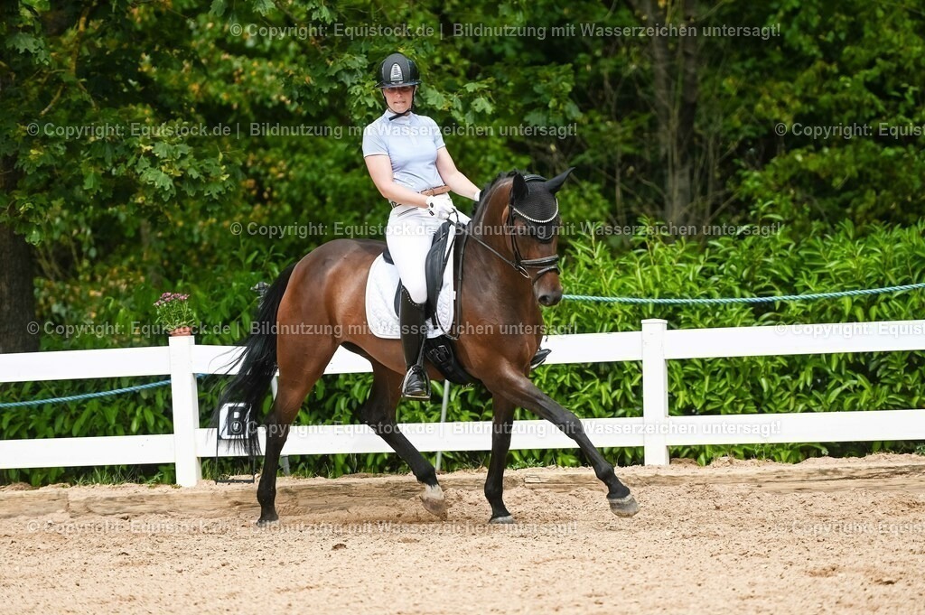 20230715_02_Dressurreiterprüfung Kl.L_0402 | equistock