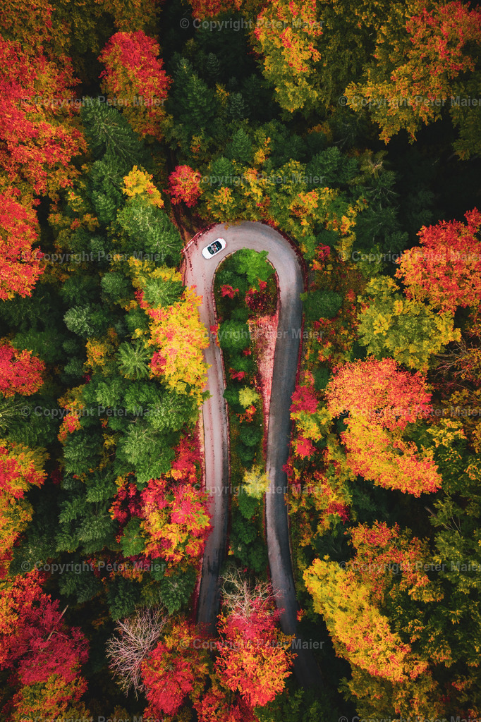 Sortiert_Foto-21697 | piet_flosse