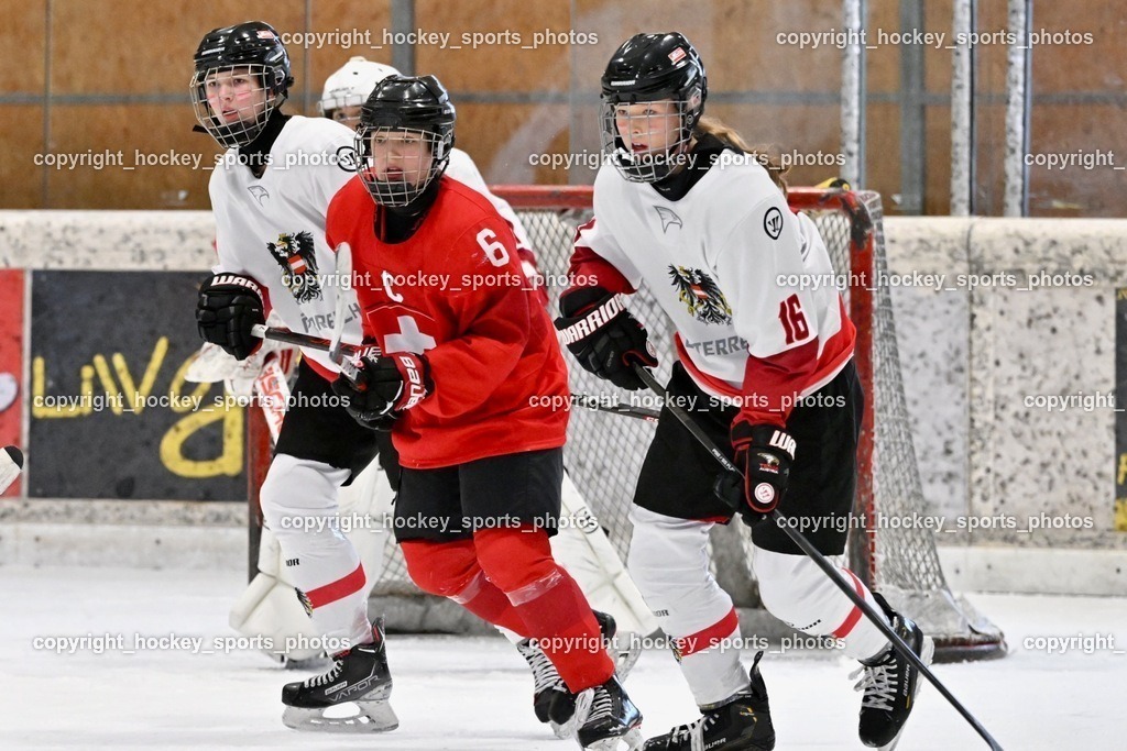 Z9B_5061 | hockey sports photos, Pressefotos, Sportfotos, hockey247, win 2day icehockeyleague, Handball Austria, Floorball Austria, ÖVV, Kärntner Eishockeyverband, KEHV, KFV, Kärntner Fussballverband, Österreichischer Volleyballverband, Alps Hockey League, ÖFB, 