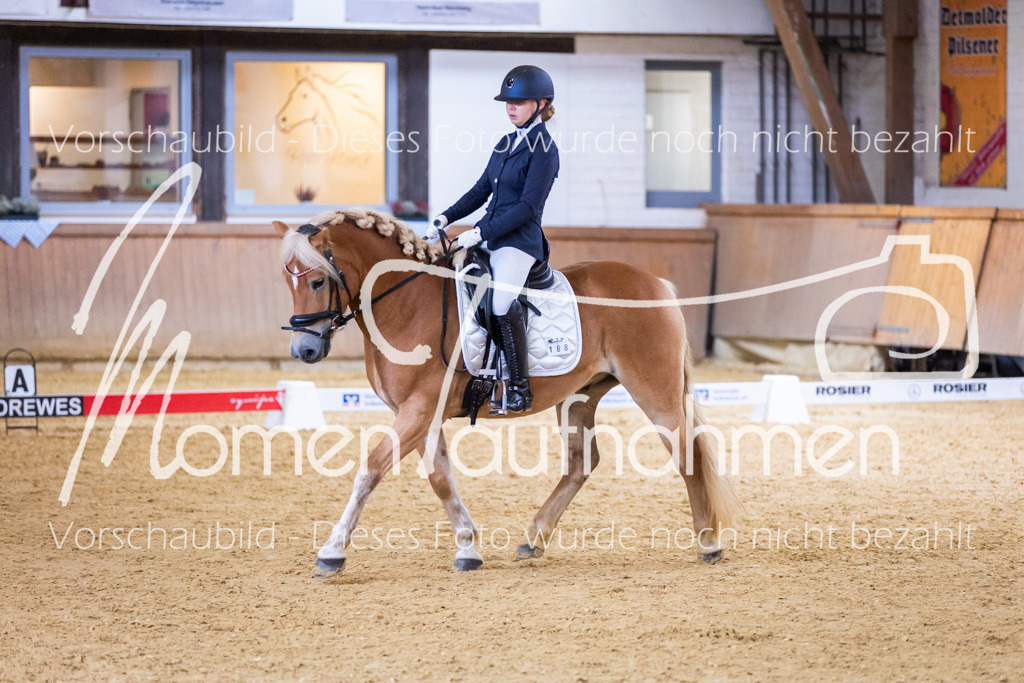 Sth-A-Dre-2St-031 | MomenTaufnahmen Pferdesportfotos