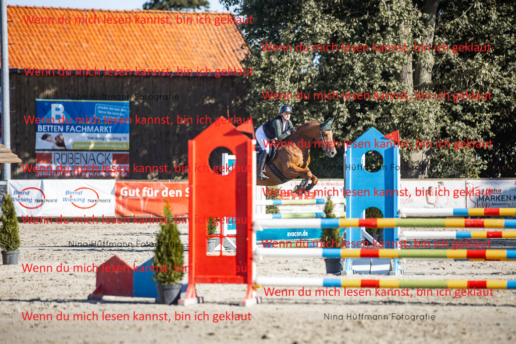 BK1A7627 | Turnierbilder Turnierfotos Nina Hüffmann Turnierfotografie Pferdefotografie Tierzeichnung Haustierzeichnung Pferdezeichnung Hundezeichnung Videograf  - Realisiert mit Pictrs.com