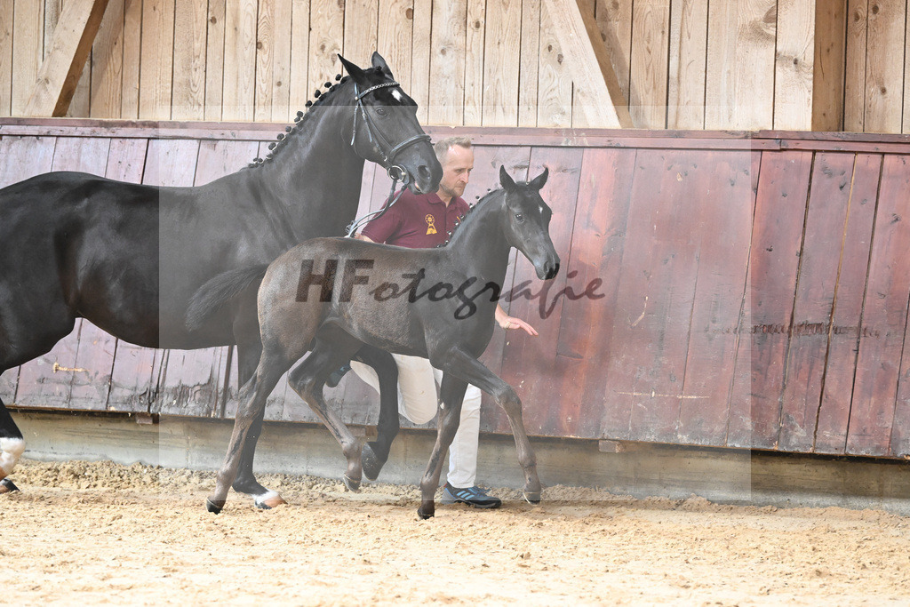 Kat-Nr. 26 SF Zenetti_Kirchmaier_26230333 | hf-fotografie - Realizzato con Pictrs.com
