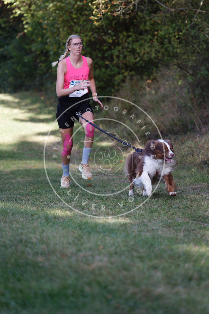 0L8A5552 | Hundefotografie, Tierfotograf, Pfotenfotografie, Fotoshooting Hund, Hunde Portrait, Hundesport, Hundeportraits, Heideshooting, Hunde, Sportfotograf, Hundefotograf, Turnierhundsport, THS,  - Realisiert mit Pictrs.com