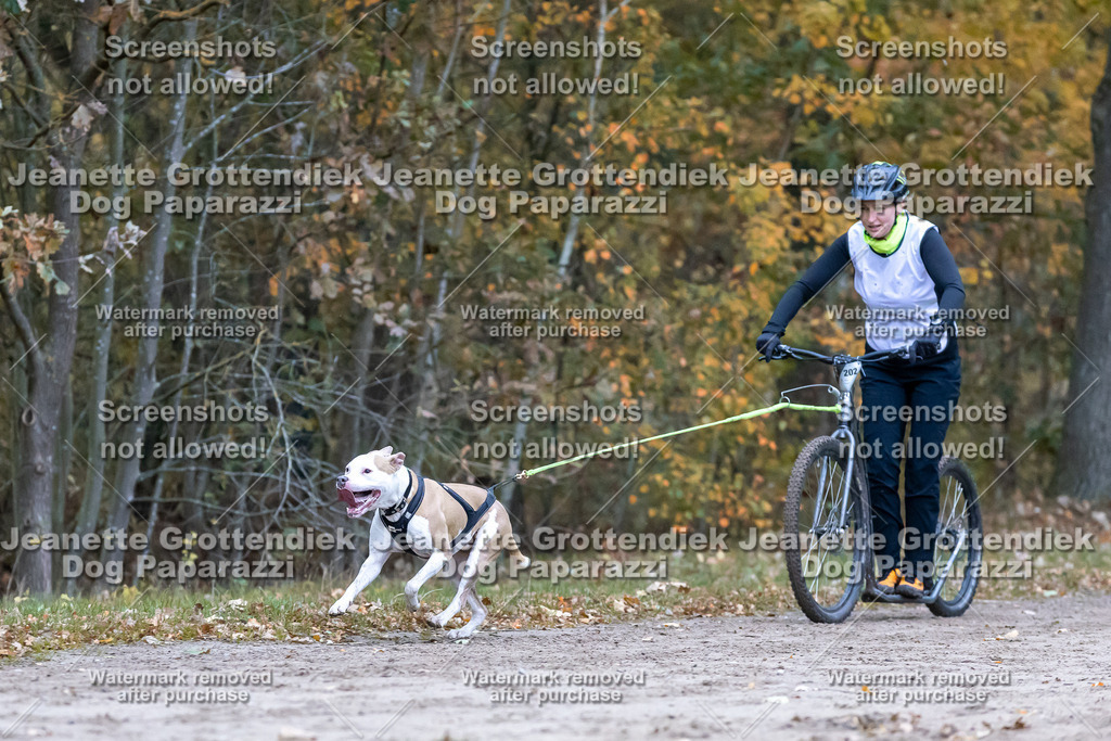 Dog Paparazzi - SD CaniX Championship 2025-184 | Dog Paparazzi Jeanette Grottendiek Fotografie & Videografie - Realisiert mit Pictrs.com