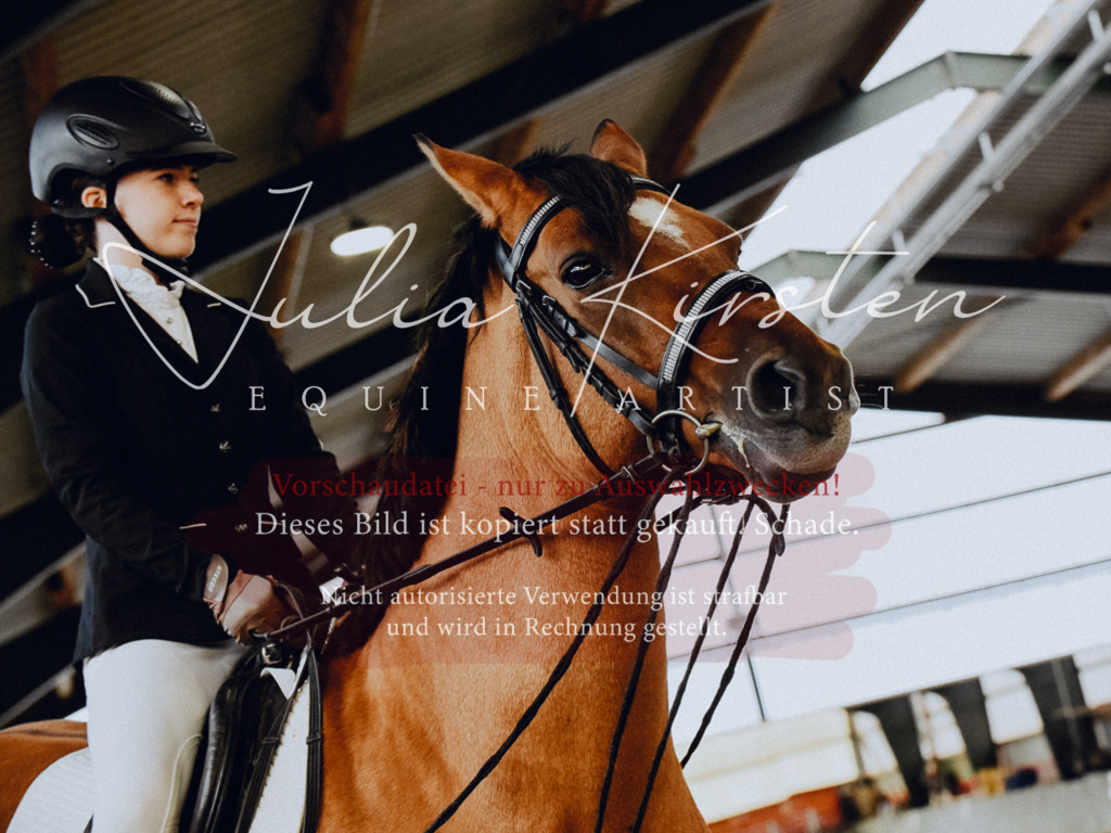 DSC_7271 | Pferde- und Turnierfotografie in Westsachsen. Pferdeportraits, Auftragszeichnungen und intuitive Kunst.