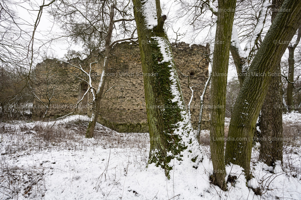 10049-12698 - Domburg im Hakel | Stockfoto und Bilderpool mit Bildmaterial aus Deutschland, dem Harz, Halberstadt, Quedlinburg, Wernigerode und weltweit. Qualitativ hochwertige und professionelle Fotos anschauen und kaufen. - Realisiert mit Pictrs.com