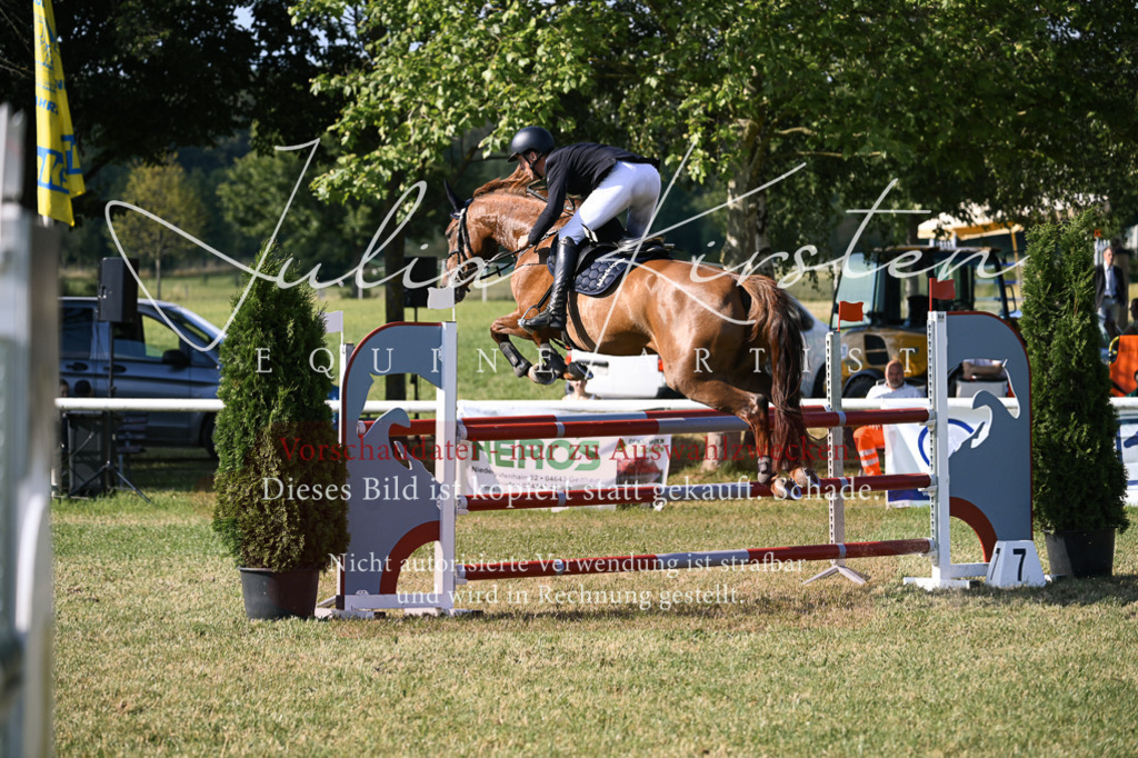 DSC_1485 | Pferde- und Turnierfotografie in Westsachsen. Pferdeportraits, Auftragszeichnungen und intuitive Kunst.