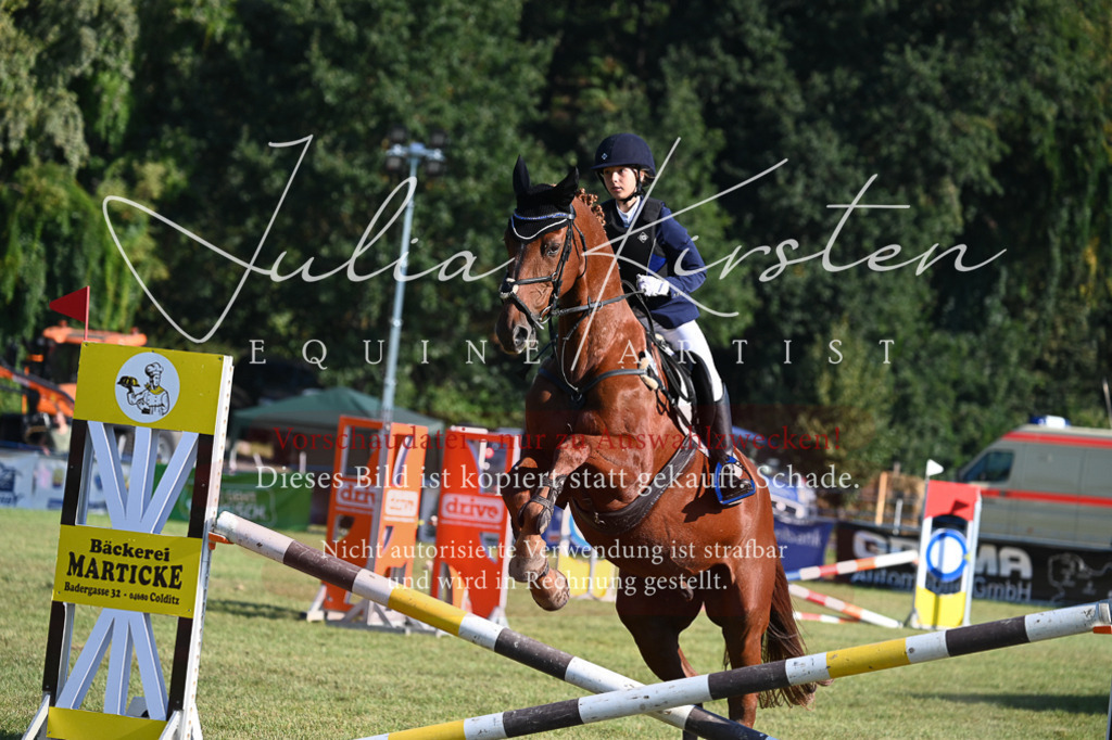 DSC_5109 | Pferde- und Turnierfotografie in Westsachsen. Pferdeportraits, Auftragszeichnungen und intuitive Kunst.