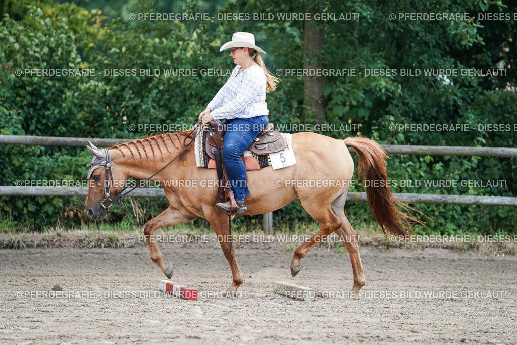 DSC05940 | Pferdegrafie