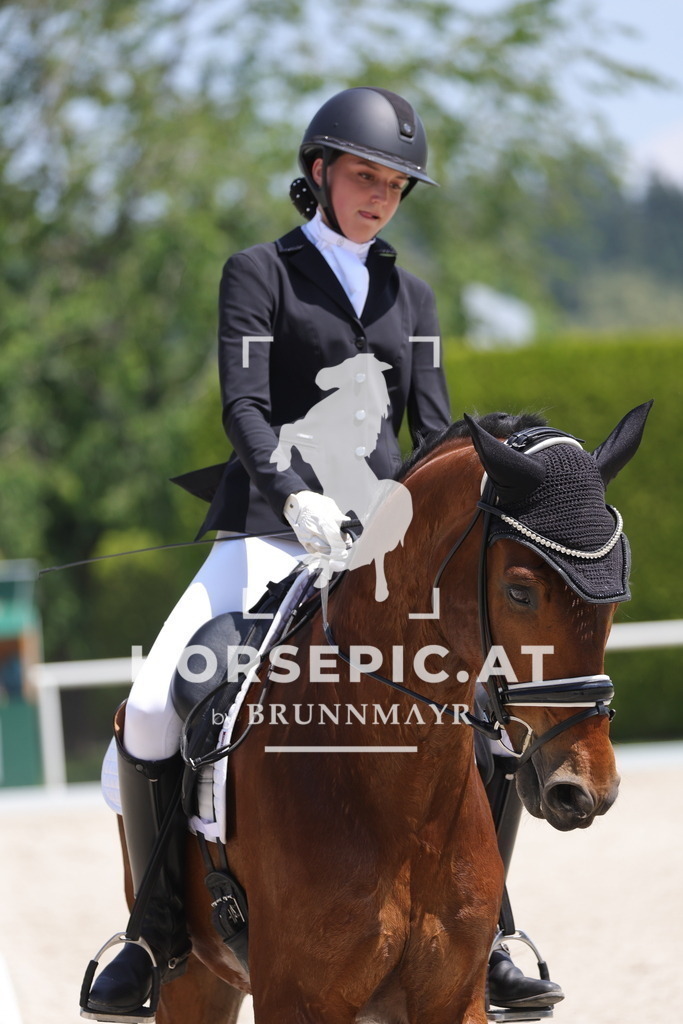 0P6A5836 | Willkommen bei Brunnmayr - Design & Fotografie – Ihrem Spezialisten für Reitturniere und Pferdeveranstaltungen in Oberösterreich, Salzburg und Bayern! Seit über 17 Jahren sind wir leidenschaftlich dabei.