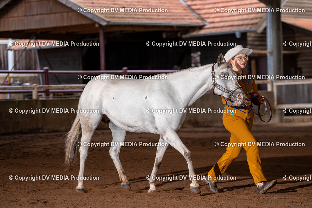 Erbach Tag 3-76 | dv-media-shop - Realisiert mit Pictrs.com