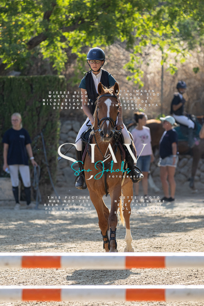 IMG_4574 | s-jay-photography - Realisiert mit Pictrs.com