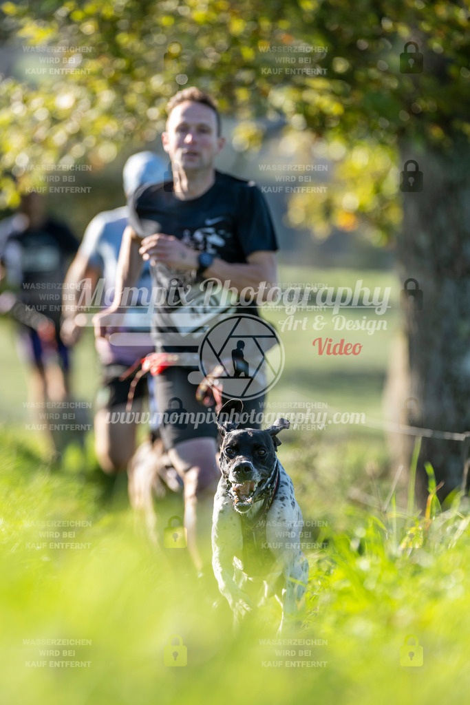 MompixPhotography_20TSB_E3_Run-160 | PayLife