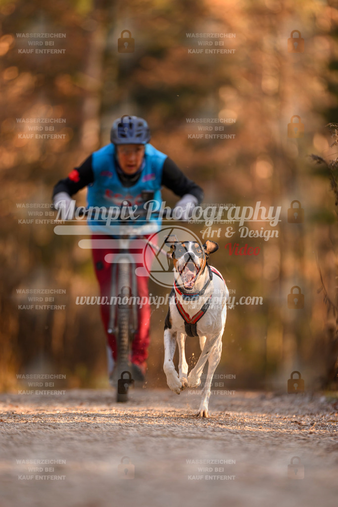 MompixPhotography_DM_AKDM_SO_2025_Scooter-197 | PayLife