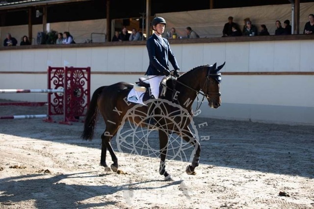 2B4A0622 | pixelfaenger - Realisiert mit Pictrs.com