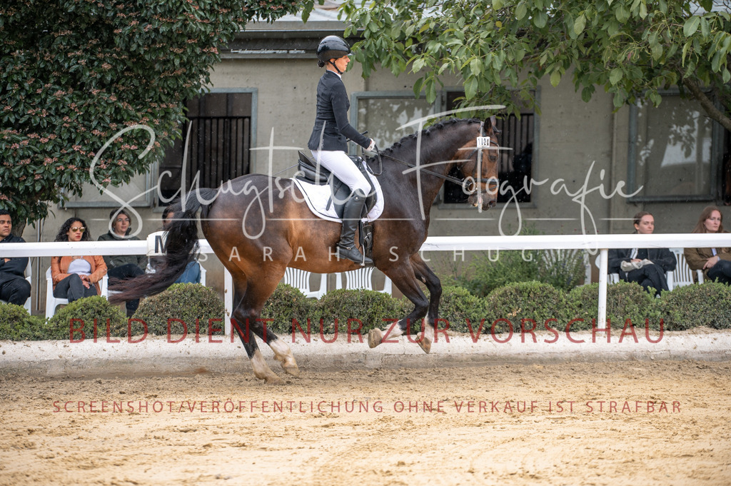 Schugtsche-Aluta25-41.Amat-Dressurprf.A_-208 | Schugtsche Fotografie - Realisiert mit Pictrs.com