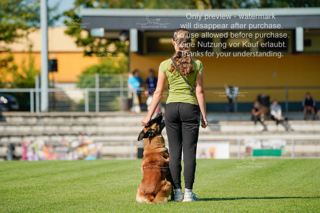 Samstag_Gehorsam_V2 (126) | stephaniefillaphotographie - Realisiert mit Pictrs.com