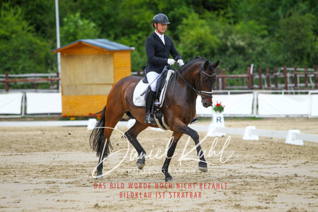 DKP46399 | Turniersportfotografie; Pferdefotografie; Dressurfotografie