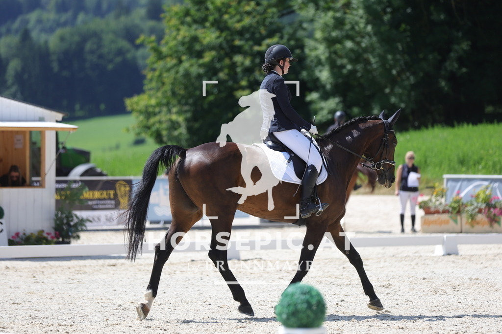 0P6A5540 | Willkommen bei Brunnmayr - Design & Fotografie – Ihrem Spezialisten für Reitturniere und Pferdeveranstaltungen in Oberösterreich, Salzburg und Bayern! Seit über 17 Jahren sind wir leidenschaftlich dabei.