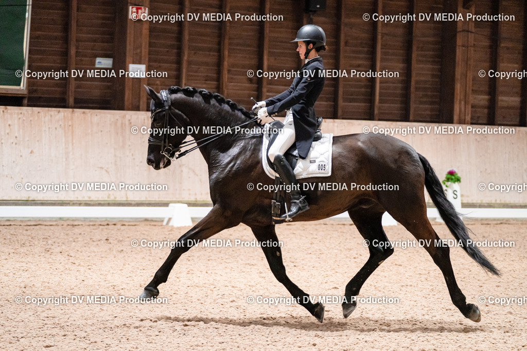 Dressur Tag 2-686 | dv-media-shop - Realisiert mit Pictrs.com