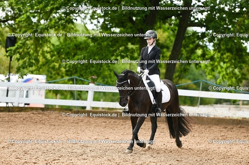 20230716_04_Dressurreiterprüfung Kl.A_0314 | equistock