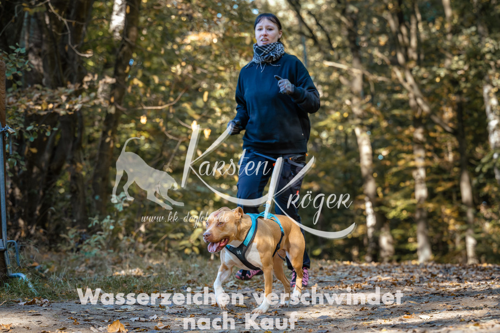 1122_ZZ92219 | kk-dogfotos