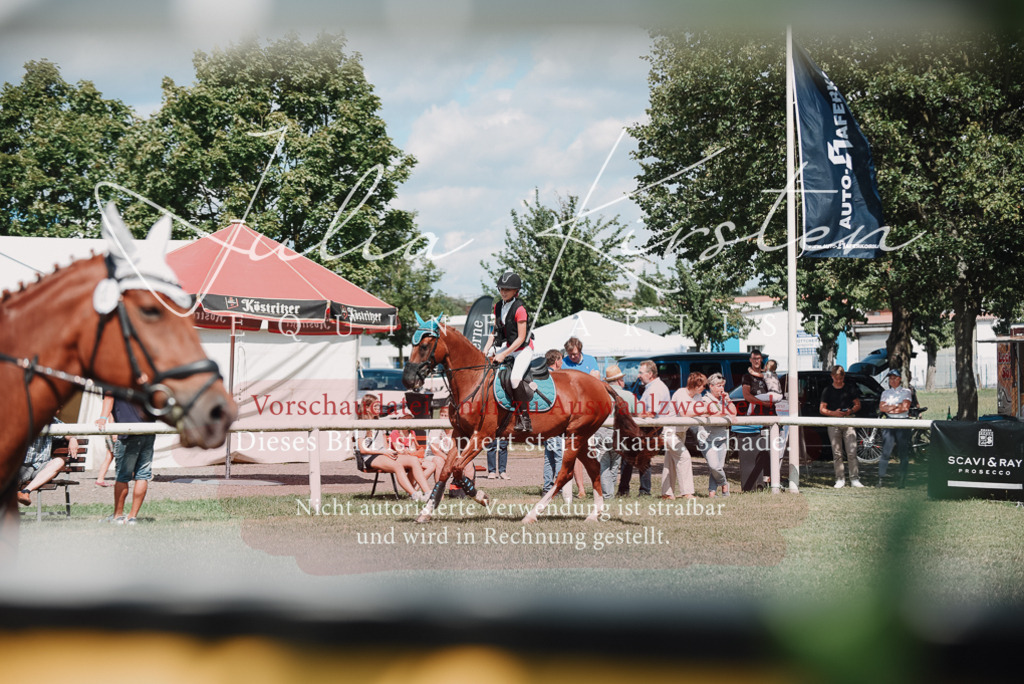 DSC_5757 | Pferde- und Turnierfotografie in Westsachsen. Pferdeportraits, Auftragszeichnungen und intuitive Kunst.