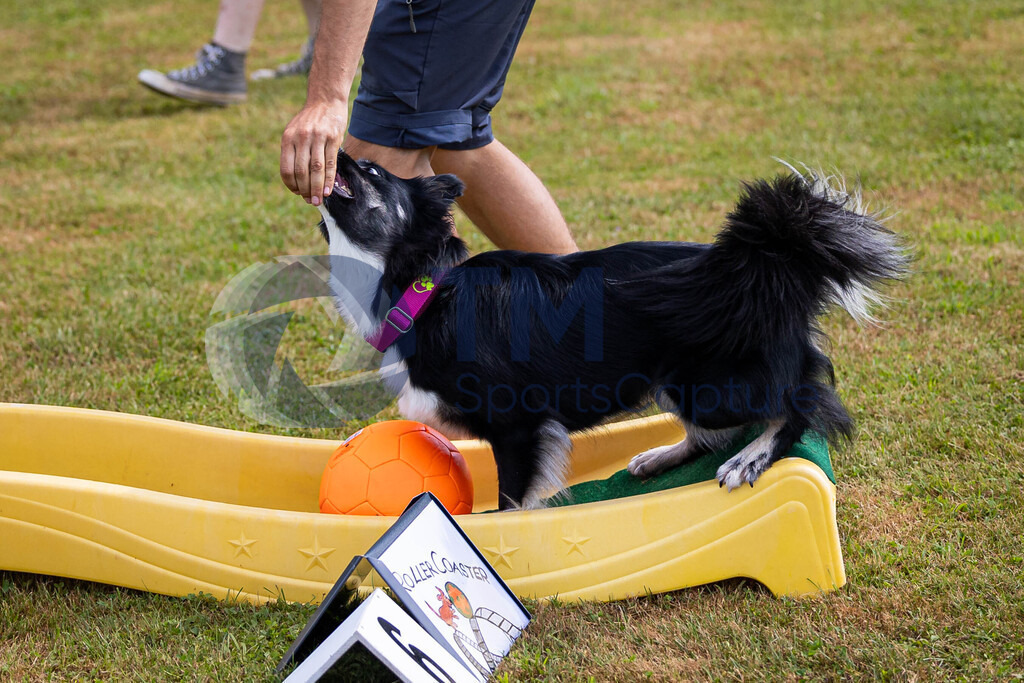 TP-20240815-0098 | Copyright: Trainproduction / Matthias Trinkl