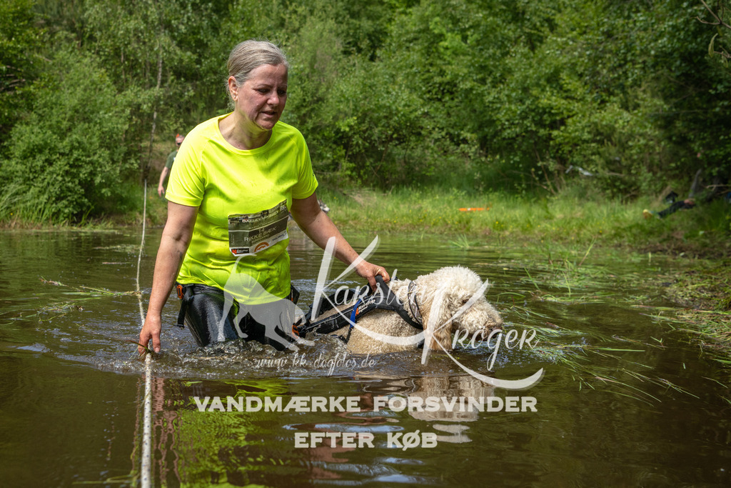 1245DKK993482 | kk-dogfotos