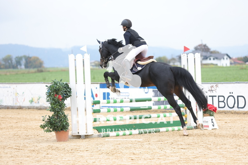 0P6A2267 | Willkommen bei Brunnmayr - Design & Fotografie – Ihrem Spezialisten für Reitturniere und Pferdeveranstaltungen in Oberösterreich, Salzburg und Bayern! Seit über 17 Jahren sind wir leidenschaftlich dabei.