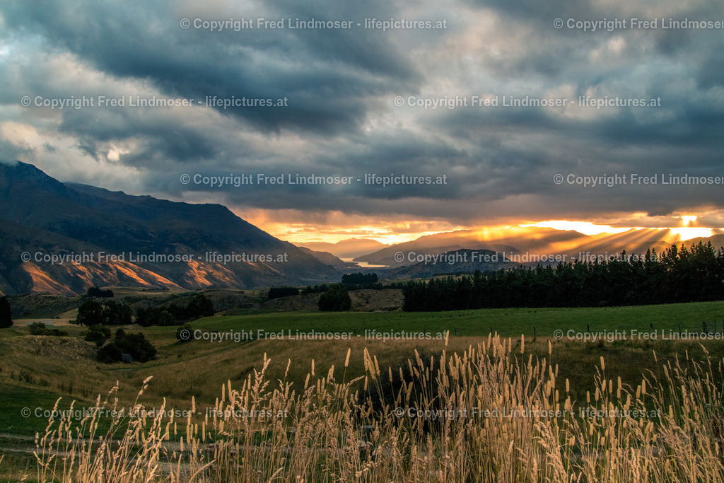 Neuseeland-1336 | Fotos und Fotoprodukte - Realisiert mit Pictrs.com