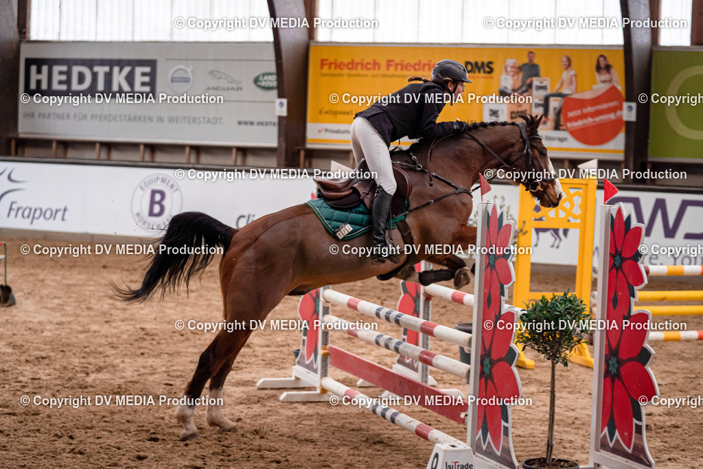 Kranichstein Tag 3-194 | dv-media-shop - Realisiert mit Pictrs.com