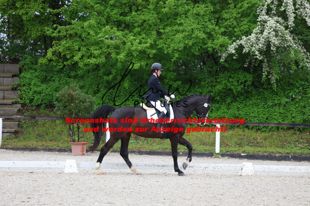 A40A9586 | lmwpictures - Realisiert mit Pictrs.com