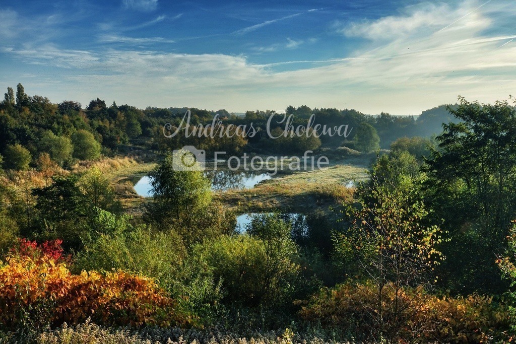 Moorblick | Der Onlineshop für malerische Fotografien aus dem Landkreis Vechta✅ Premium Druck auf Leinwand✅ Acryl✅ oder Alu-Dibond✅➤Jetzt Bestellen! - Realisiert mit Pictrs.com