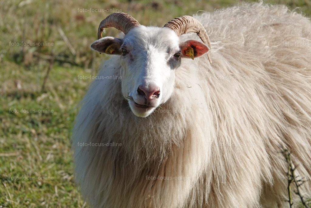 Smiling Lake_43 | Any questions?