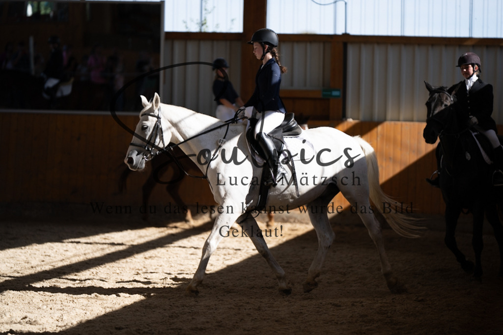 A7V02168 | Turnier/Reitfotograf